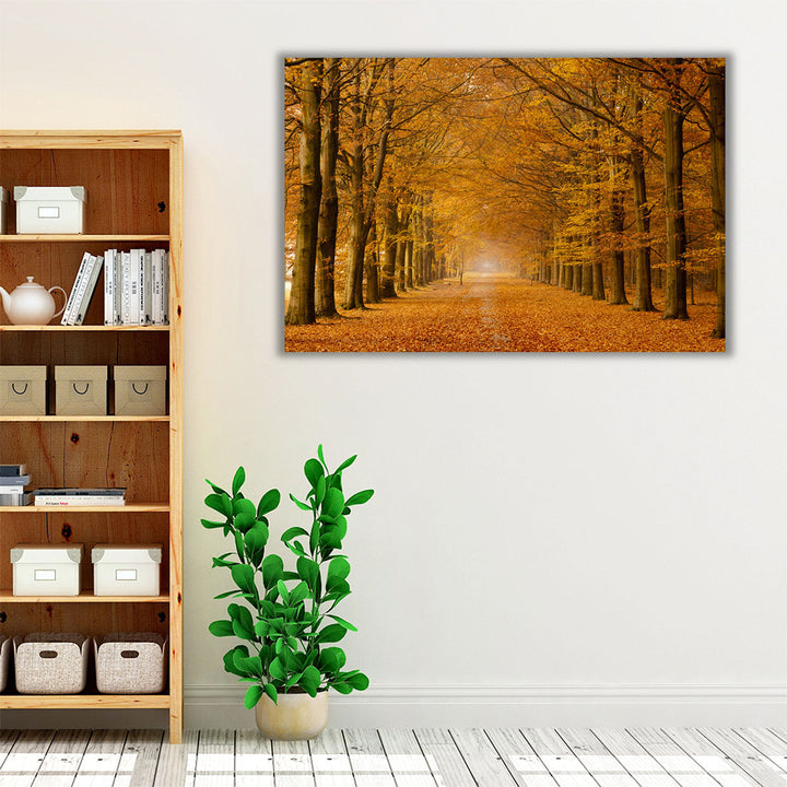Autumn Trees - Canvas Print Wall Art