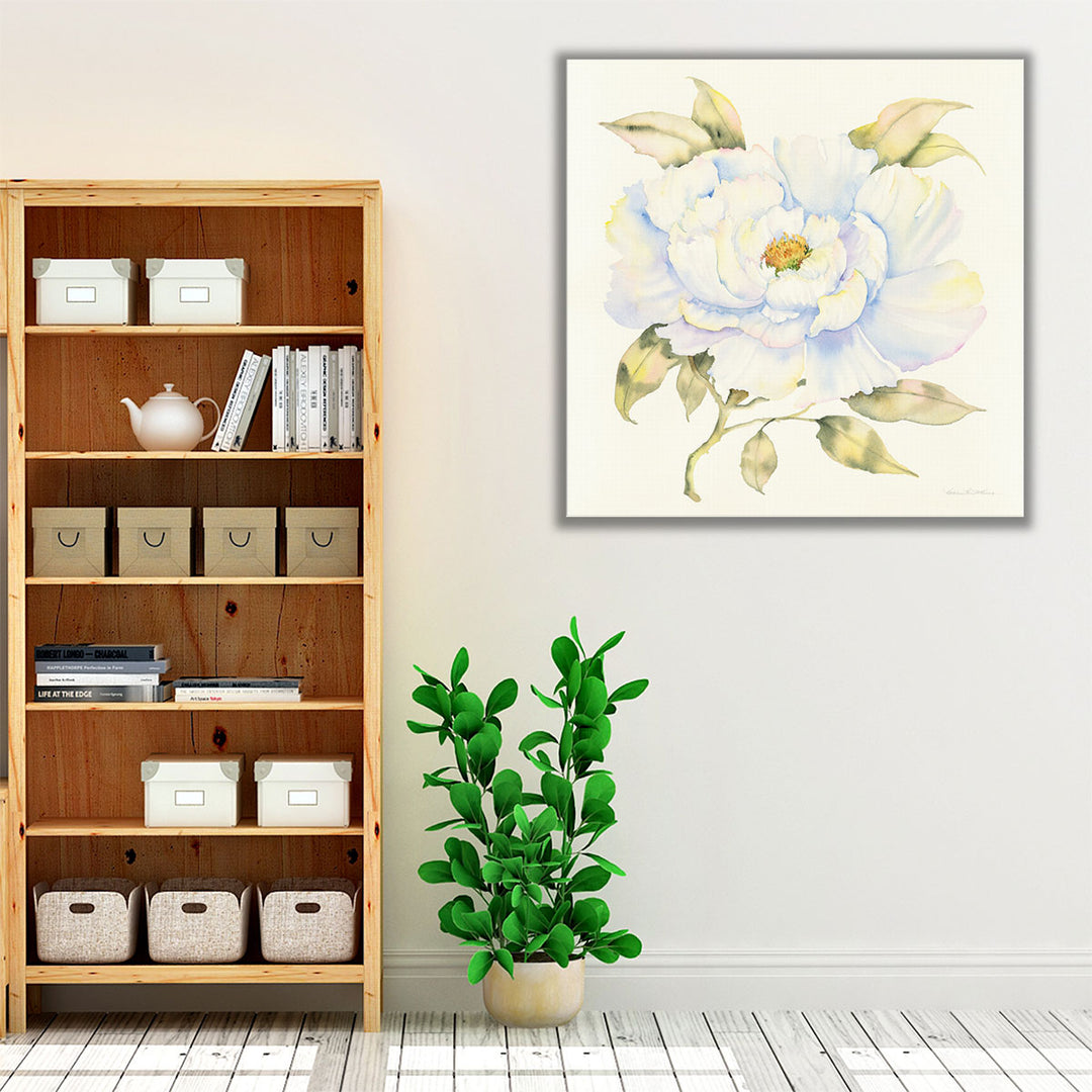 Peony - Canvas Print Wall Art