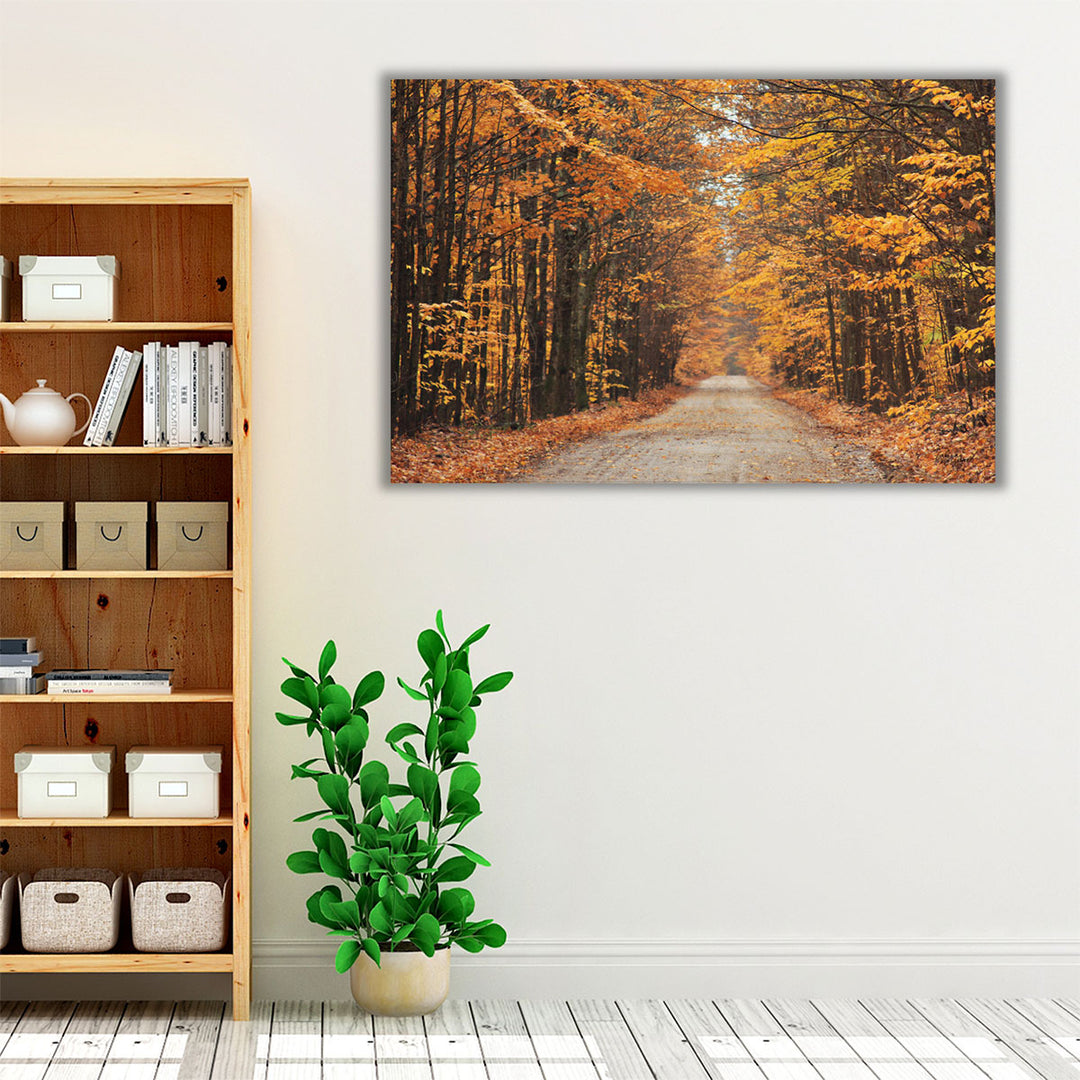 Autumn Country Road - Canvas Print Wall Art