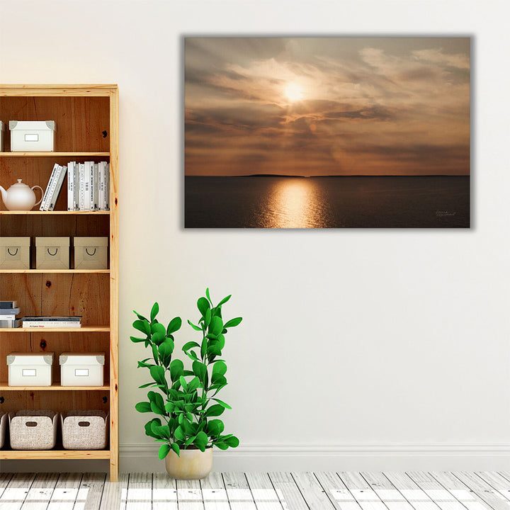 Morning Spotlight - Canvas Print Wall Art