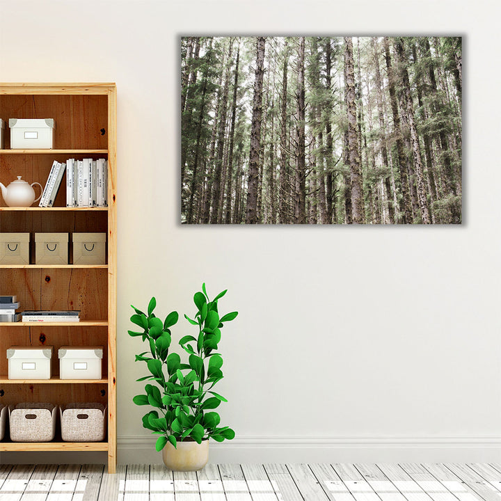 Mossy Pines - Canvas Print Wall Art