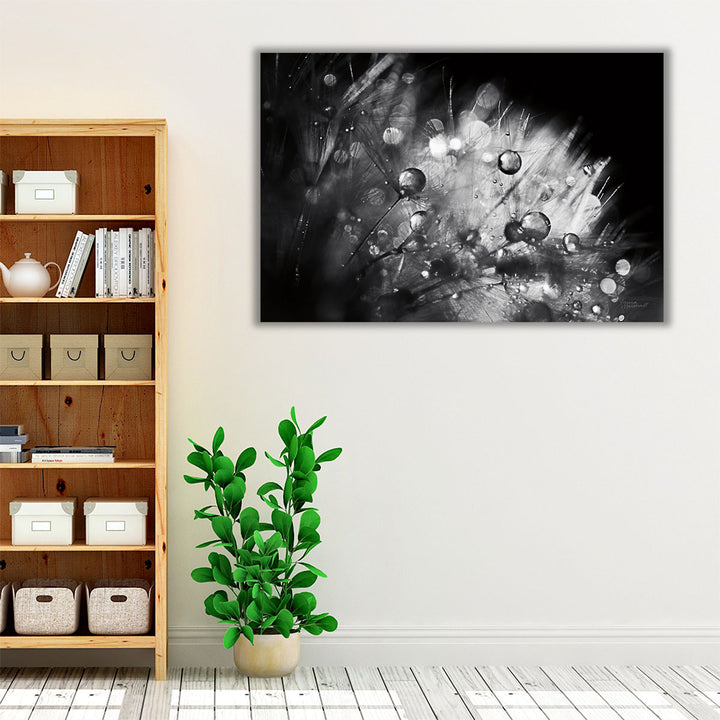 Dandelion Abstract I Black and White - Canvas Print Wall Art