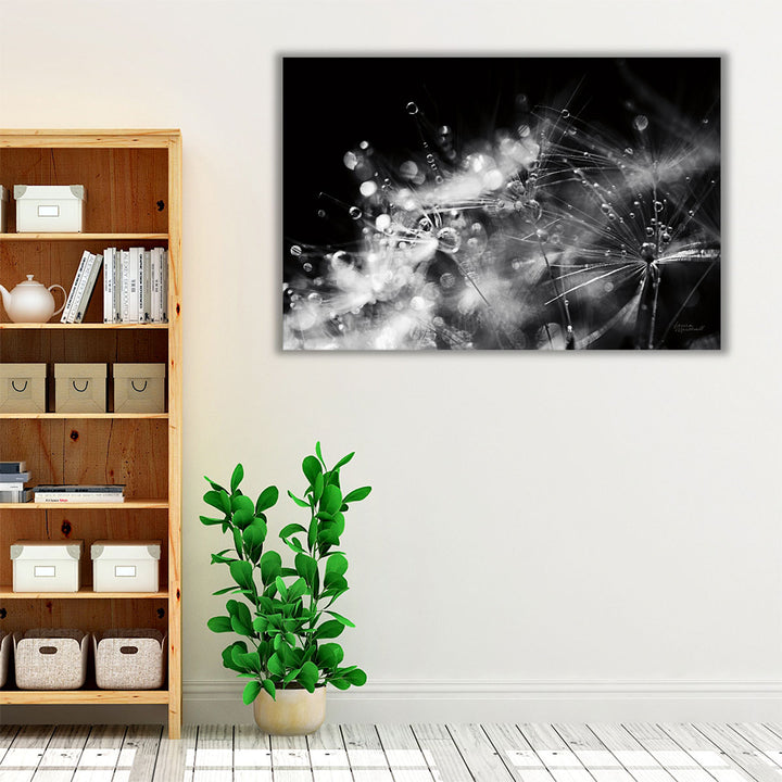 Dandelion Abstract II Black and White - Canvas Print Wall Art