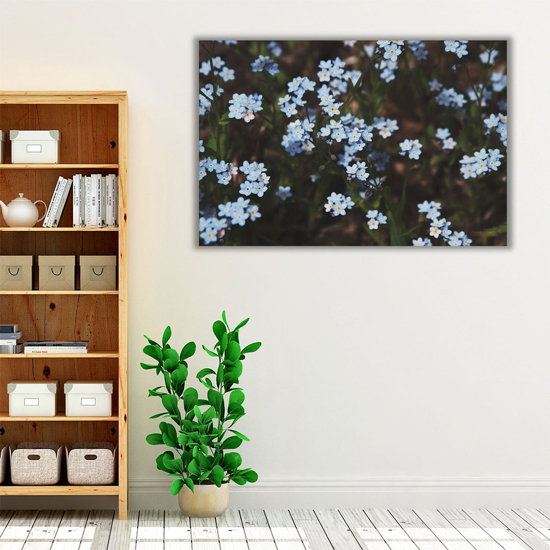 Forget Me Nots I - Canvas Print Wall Art