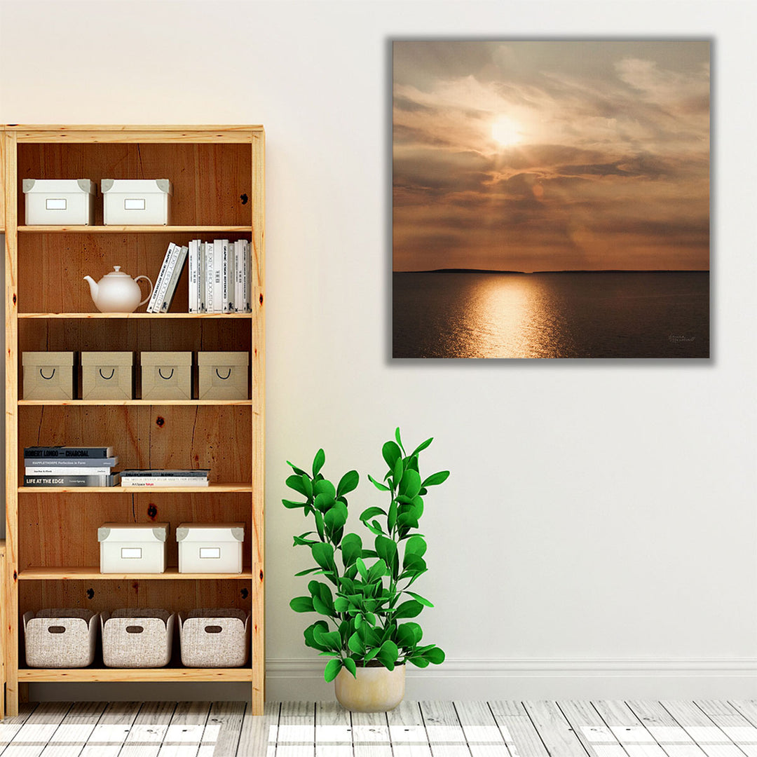 Morning Spotlight - Canvas Print Wall Art