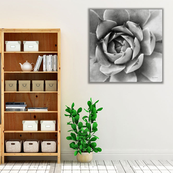 Garden Succulent II - Canvas Print Wall Art