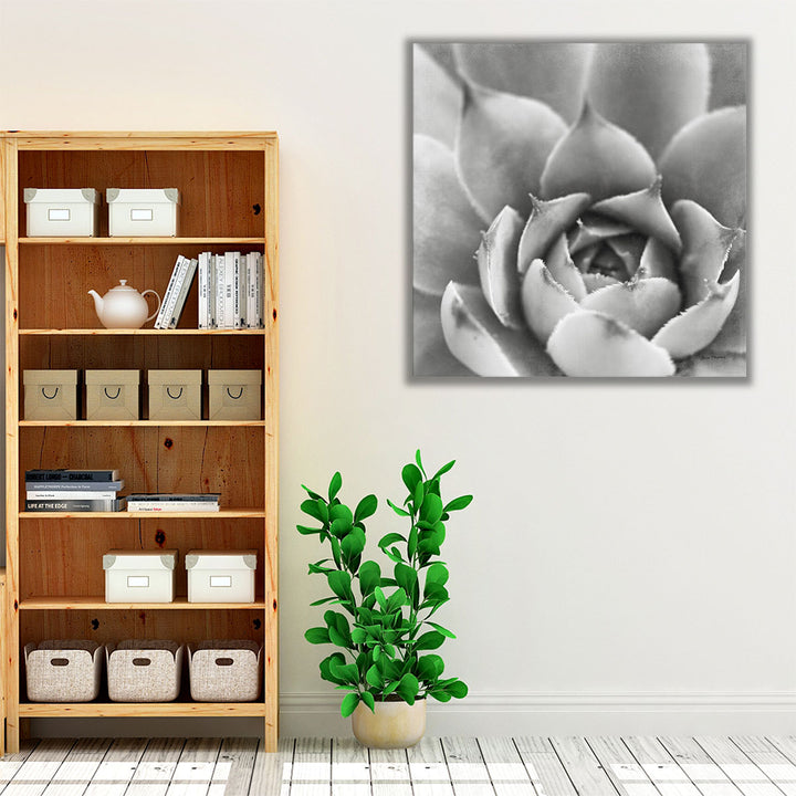 Garden Succulent III - Canvas Print Wall Art