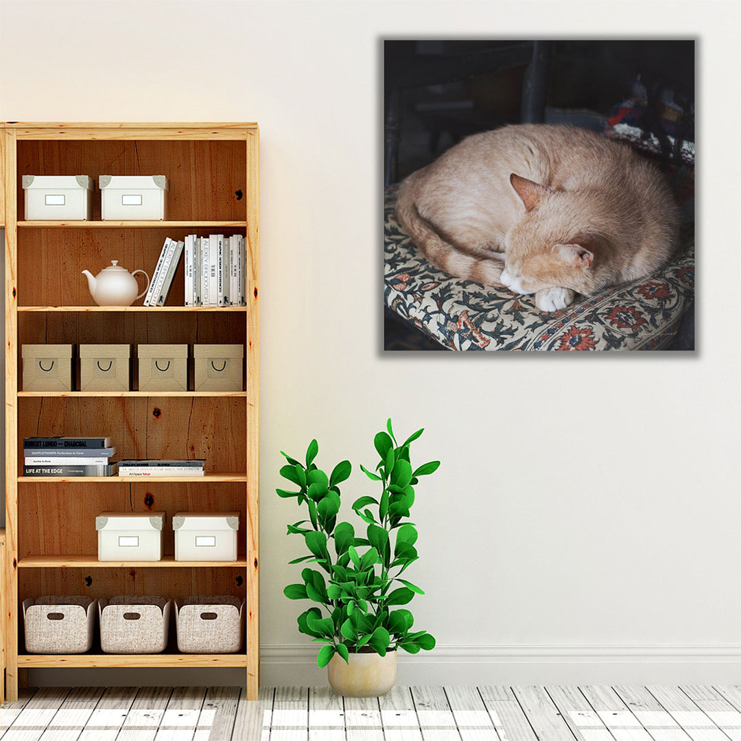 Sleepy Afternoon - Canvas Print Wall Art