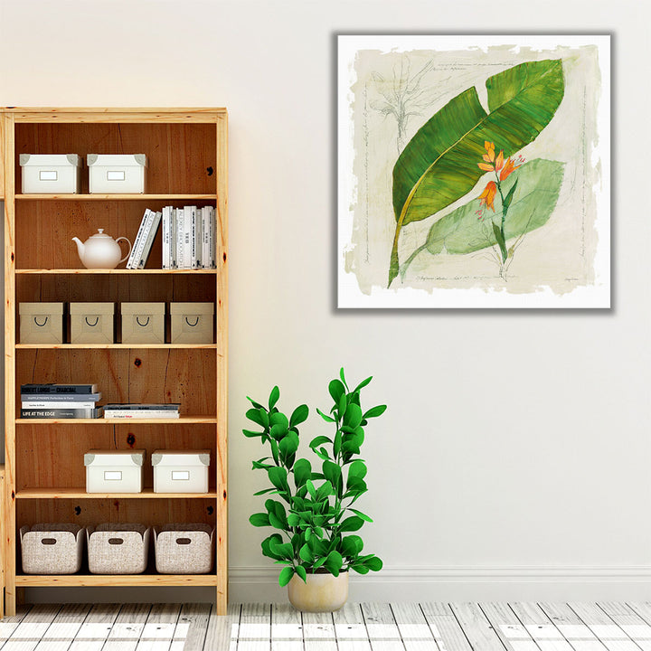 Botanical Study I - Canvas Print Wall Art