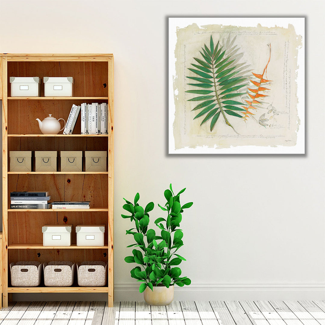 Botanical Study II - Canvas Print Wall Art