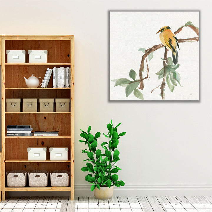 Black Napped Oriole - Canvas Print Wall Art