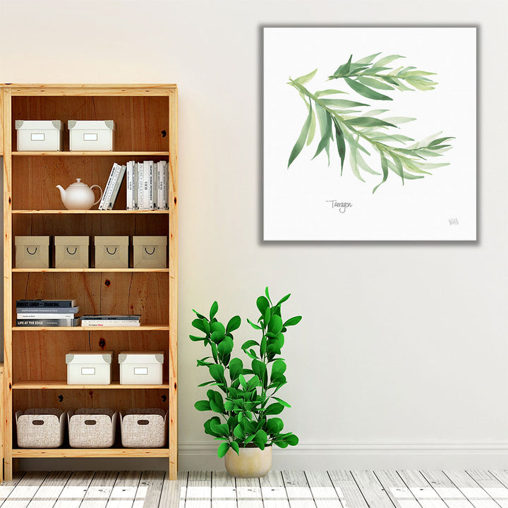 Tarragon - Canvas Print Wall Art