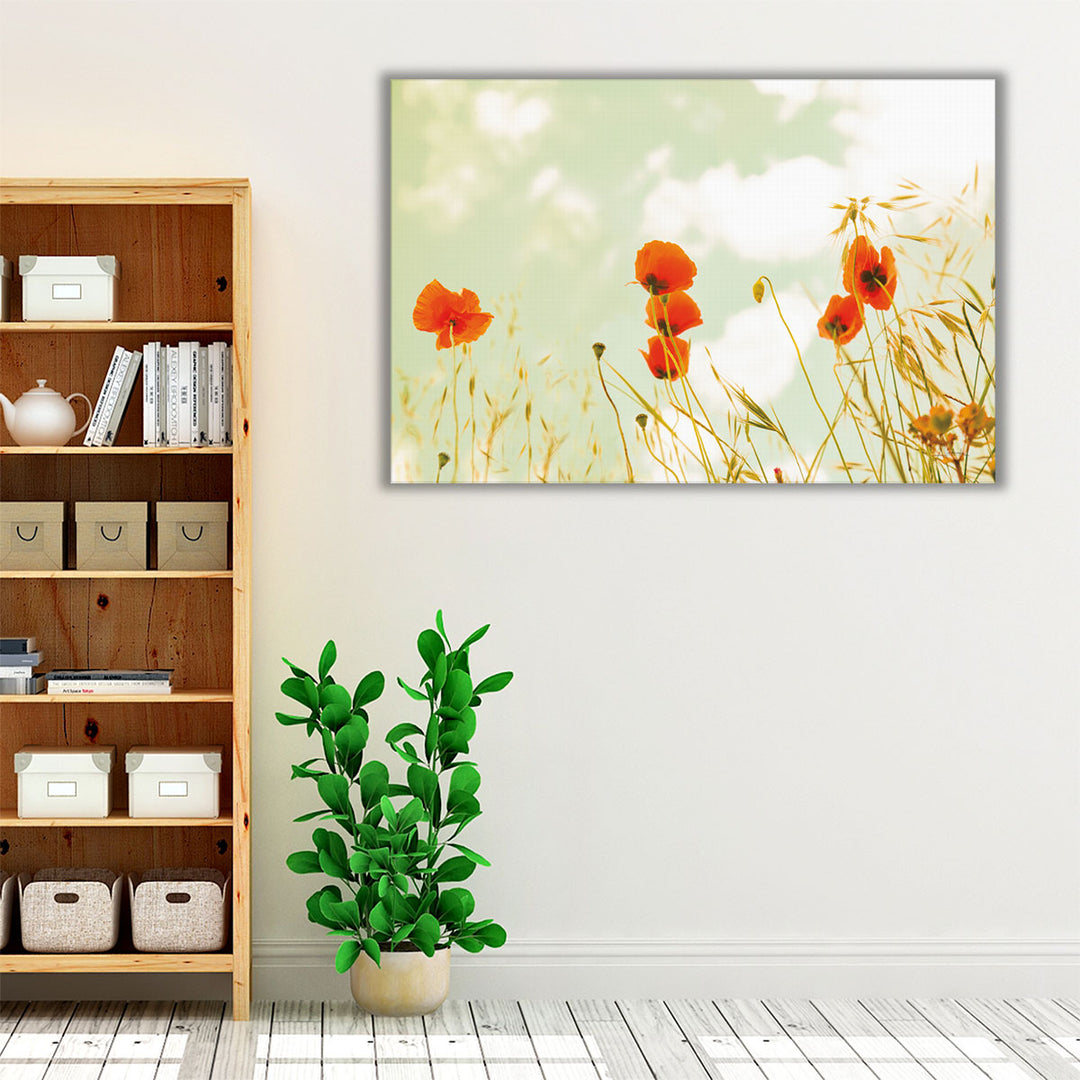 Poppies and Sky - Canvas Print Wall Art