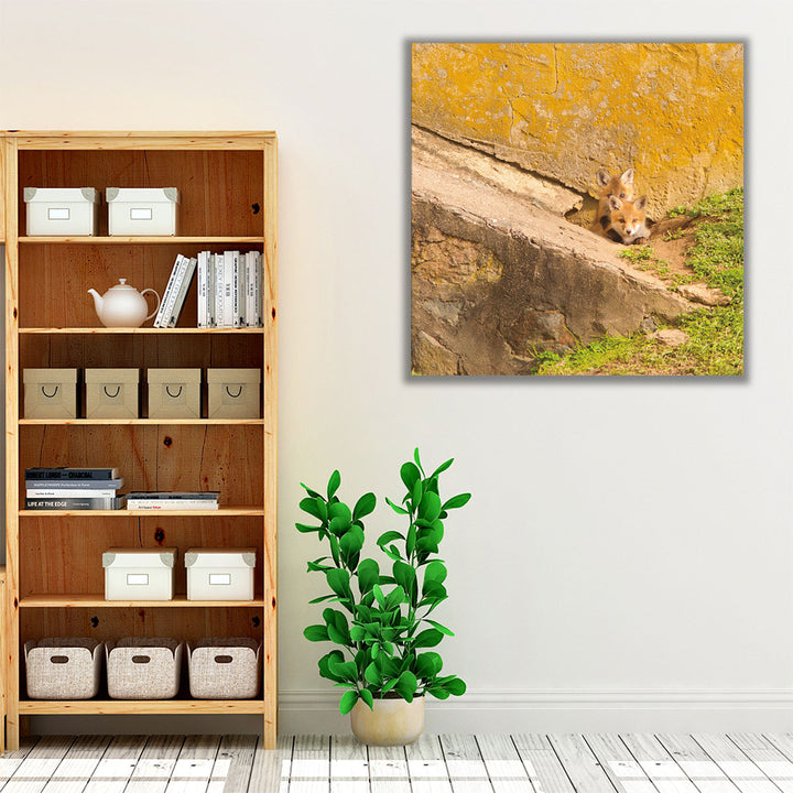 Fox Cubs II - Canvas Print Wall Art