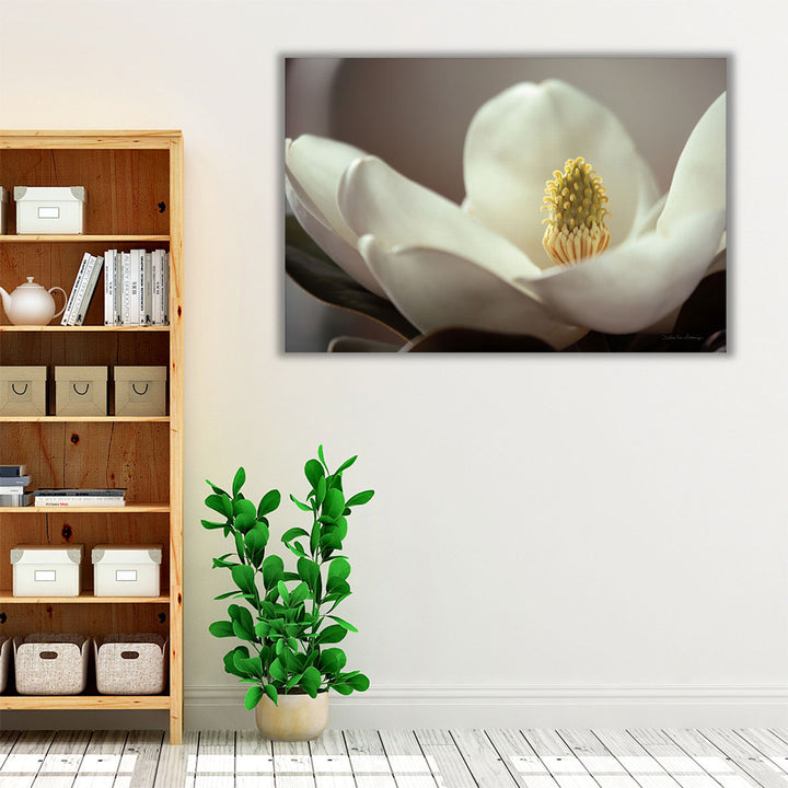 Magnolia Detail II - Canvas Print Wall Art