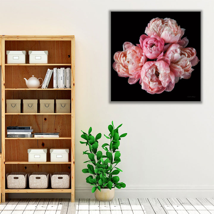 Coral Peonies III - Canvas Print Wall Art