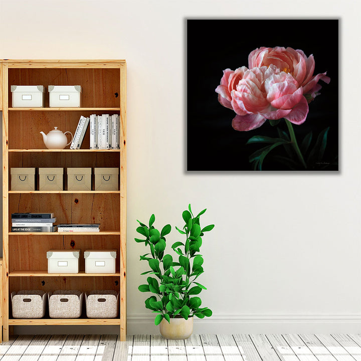 Coral Peonies V - Canvas Print Wall Art