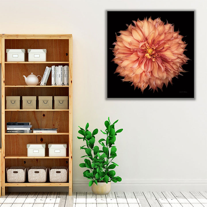 Dahlia I - Canvas Print Wall Art