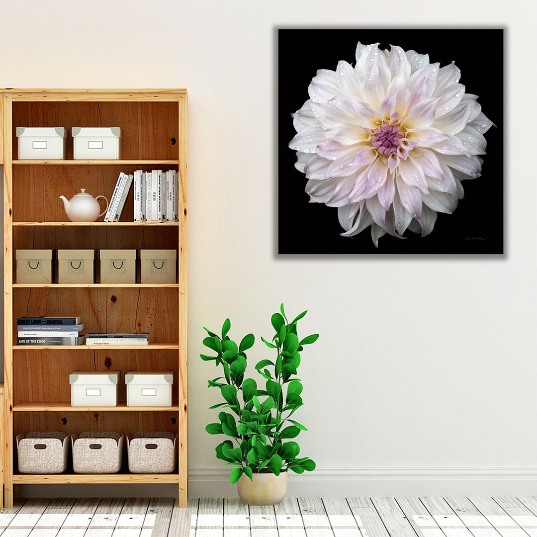 Dahlia IV - Canvas Print Wall Art