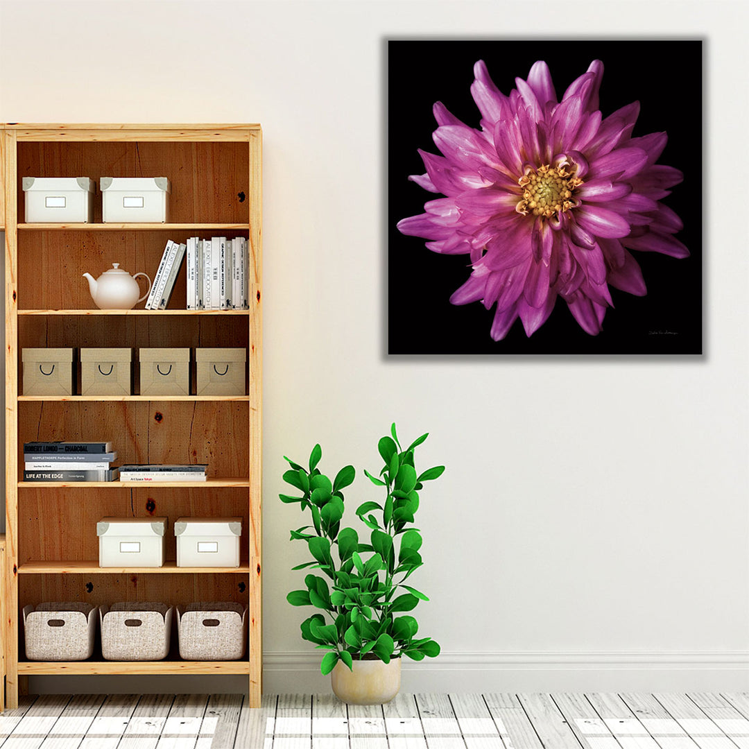 Dahlia V - Canvas Print Wall Art