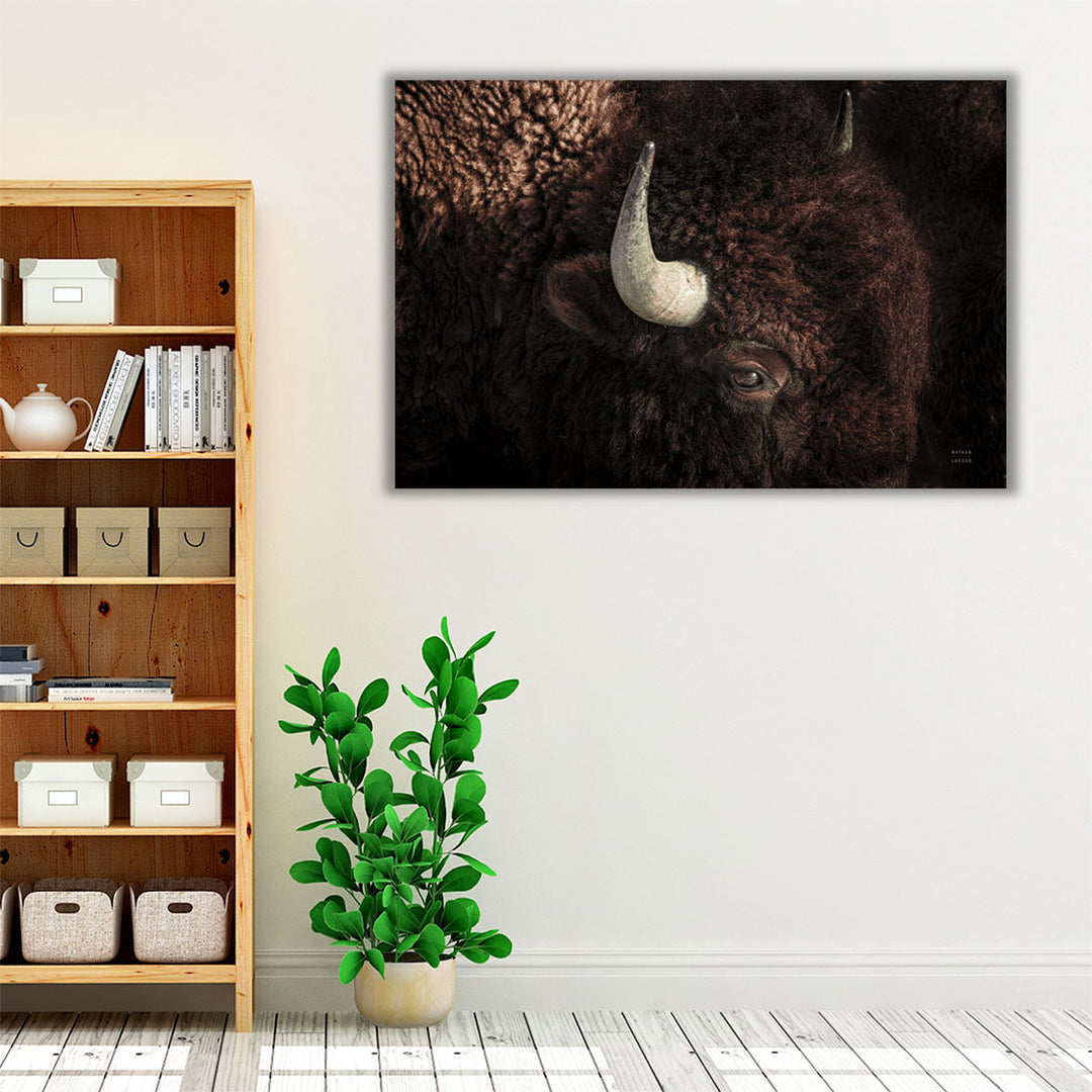 Bison - Canvas Print Wall Art