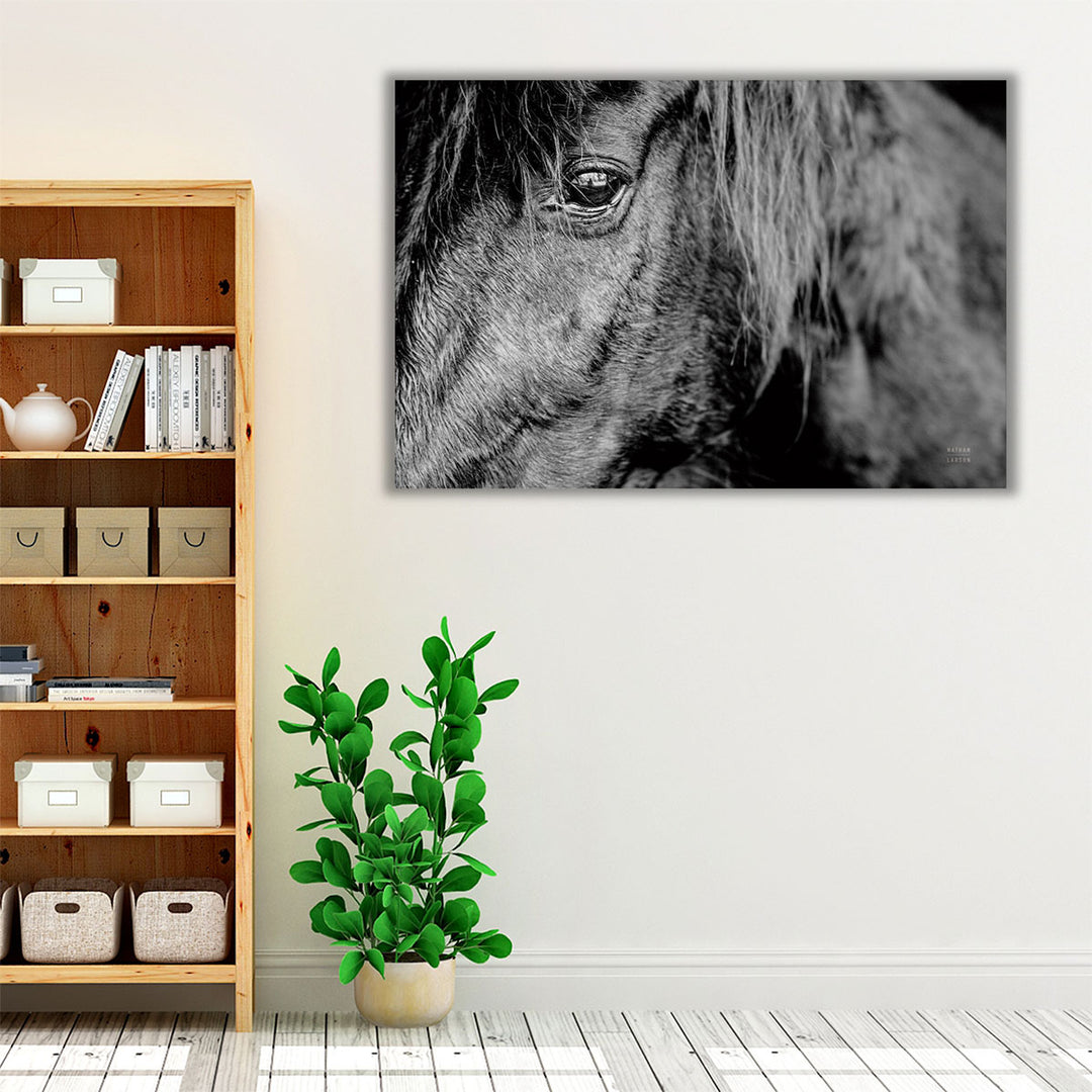 Mustang - Canvas Print Wall Art