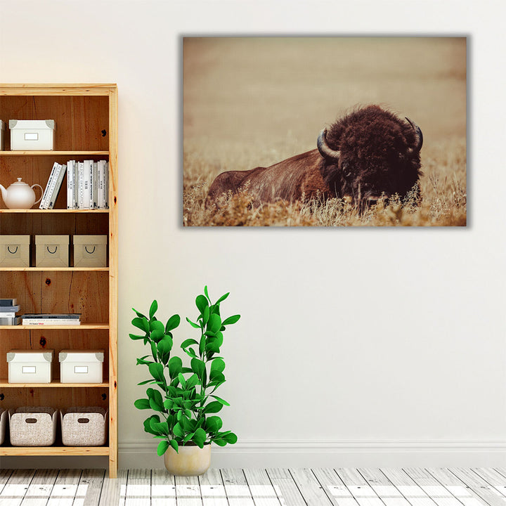 Tall Grass Bison II - Canvas Print Wall Art