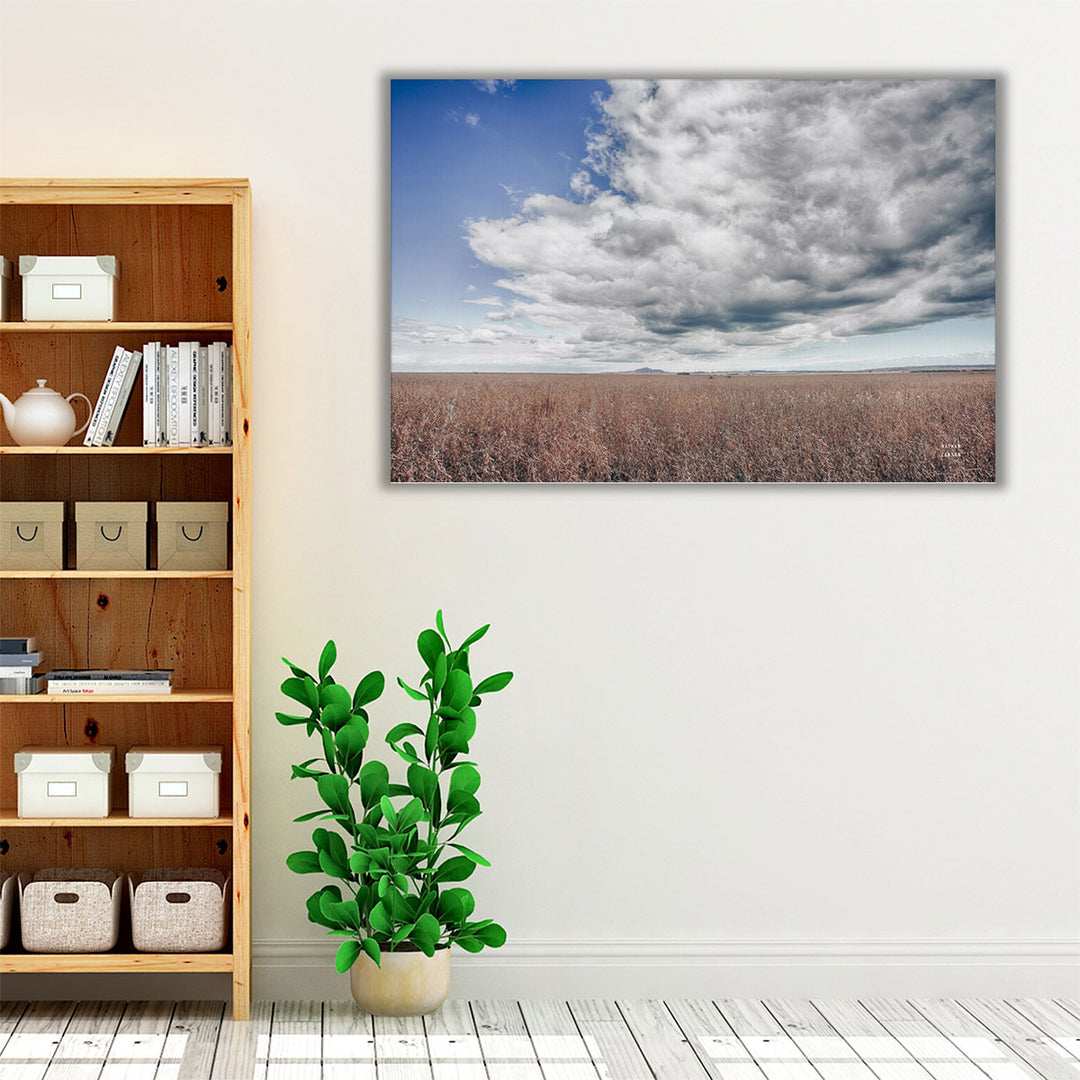 Soy Fields - Canvas Print Wall Art