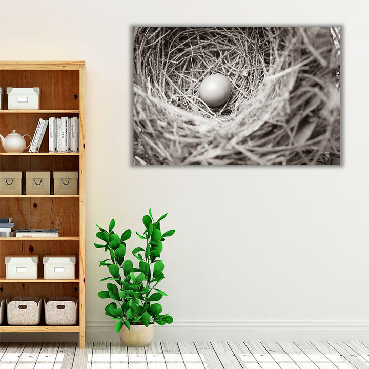 Nesting - Canvas Print Wall Art