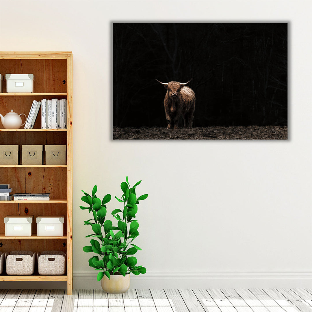 Highland Cow King of the Hill - Canvas Print Wall Art