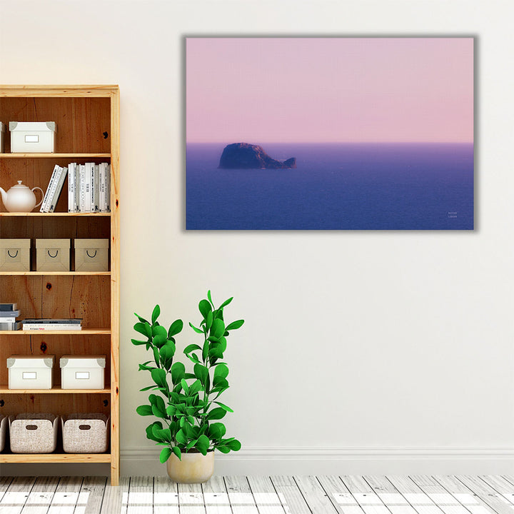 Whale Rock - Canvas Print Wall Art