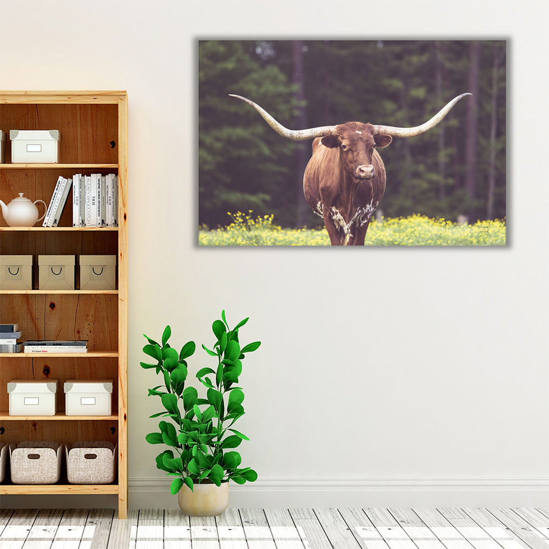 Longhorn Flowers - Canvas Print Wall Art