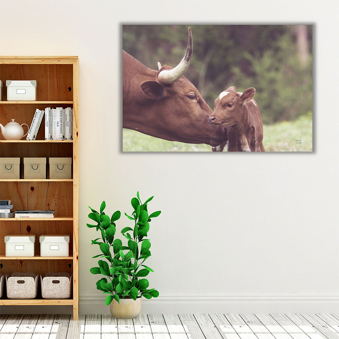 Longhorn Pairing - Canvas Print Wall Art