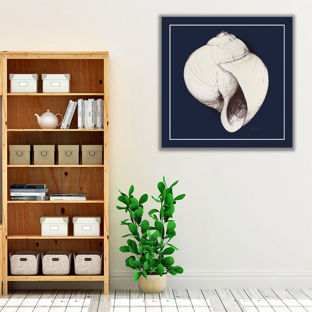 Coastal Shell I with Border Navy - Canvas Print Wall Art