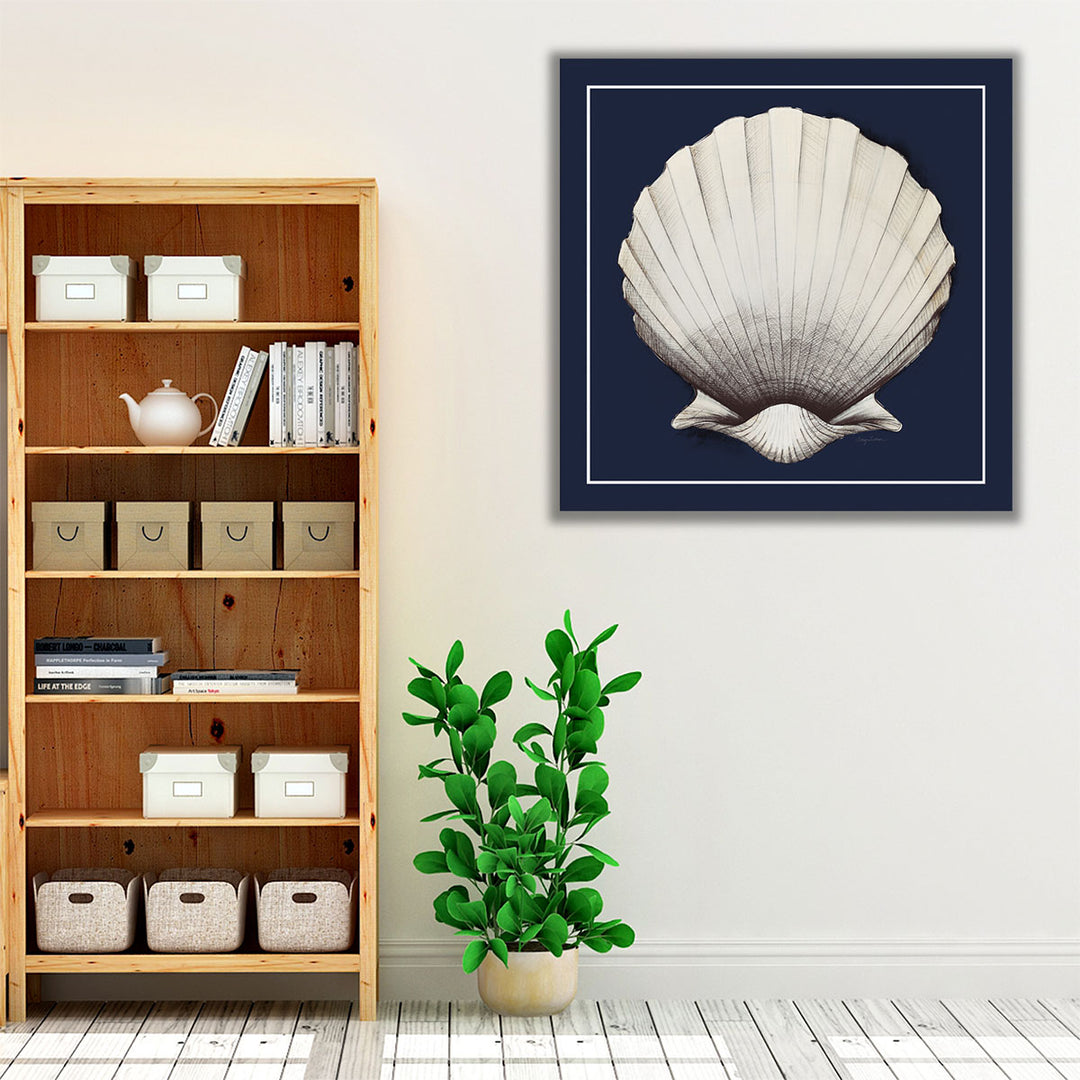 Coastal Shell II with Border Navy - Canvas Print Wall Art