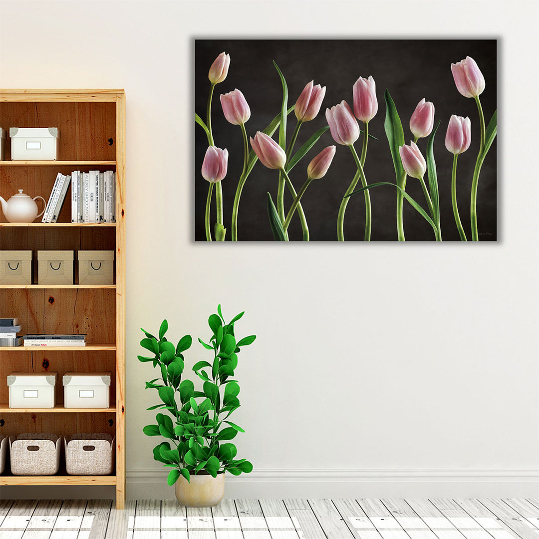 Spring Tulips IX - Canvas Print Wall Art