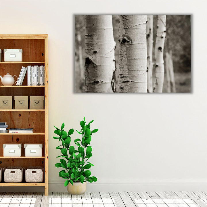 Aspens III - Canvas Print Wall Art