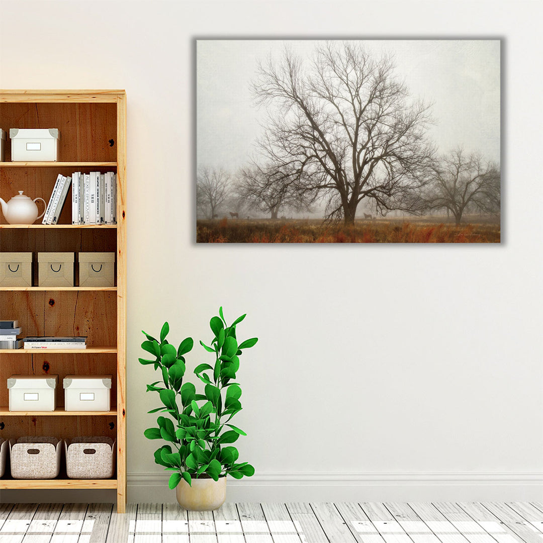 Morning Calm I - Canvas Print Wall Art