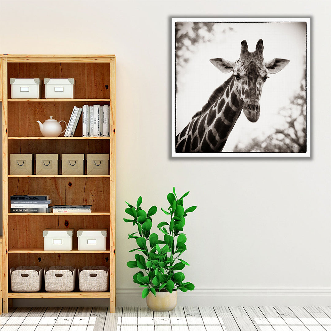 Giraffe I - Canvas Print Wall Art