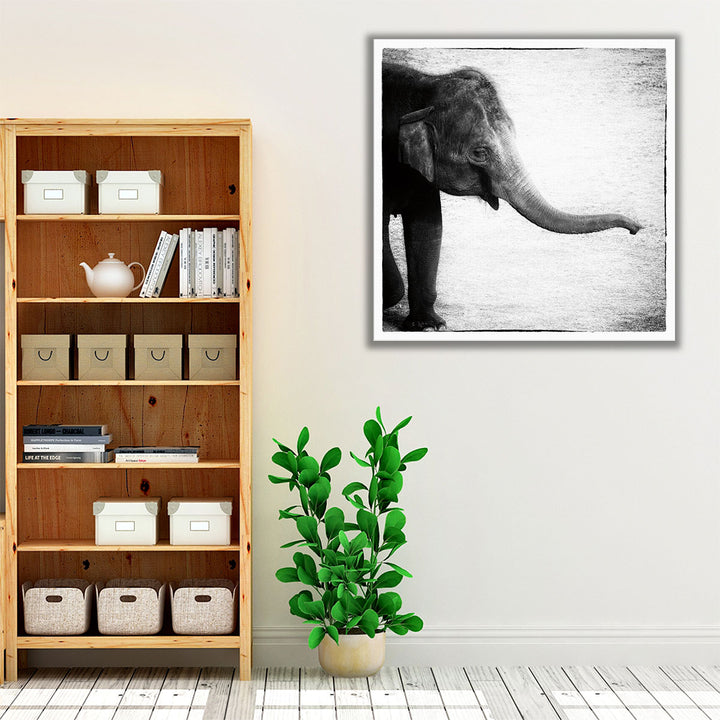 Elephant II Black and White - Canvas Print Wall Art