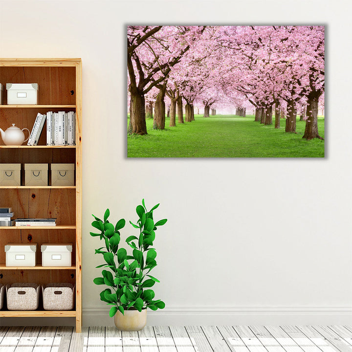 Ornamental Garden With Blossoming Cherry Trees - Canvas Print Wall Art