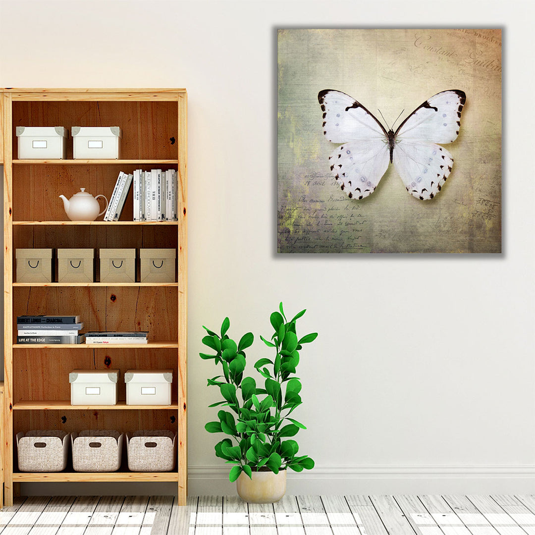 French Butterfly II - Canvas Print Wall Art