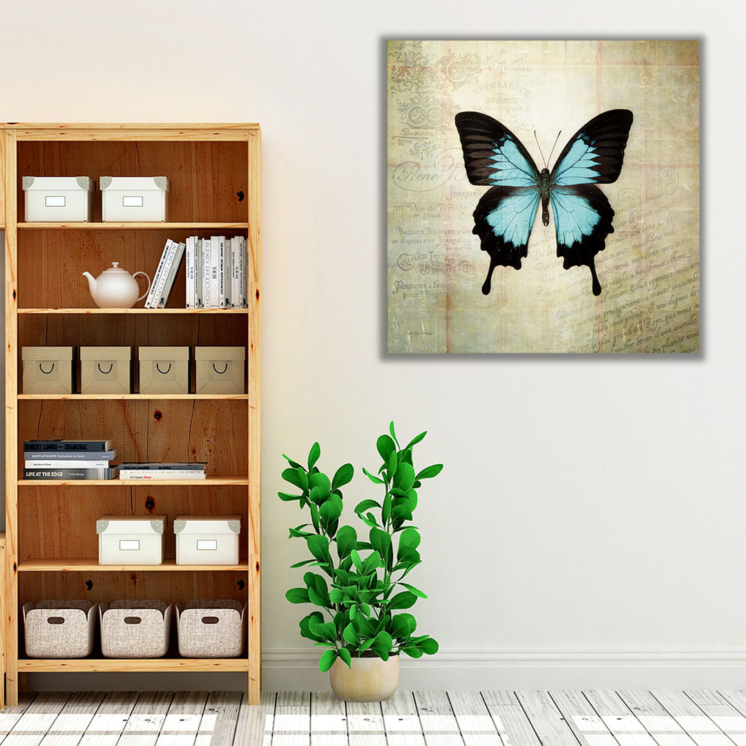 French Butterfly III - Canvas Print Wall Art