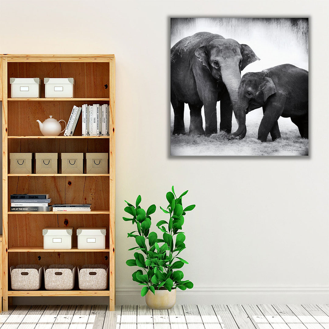 Elephant III Black and White - Canvas Print Wall Art