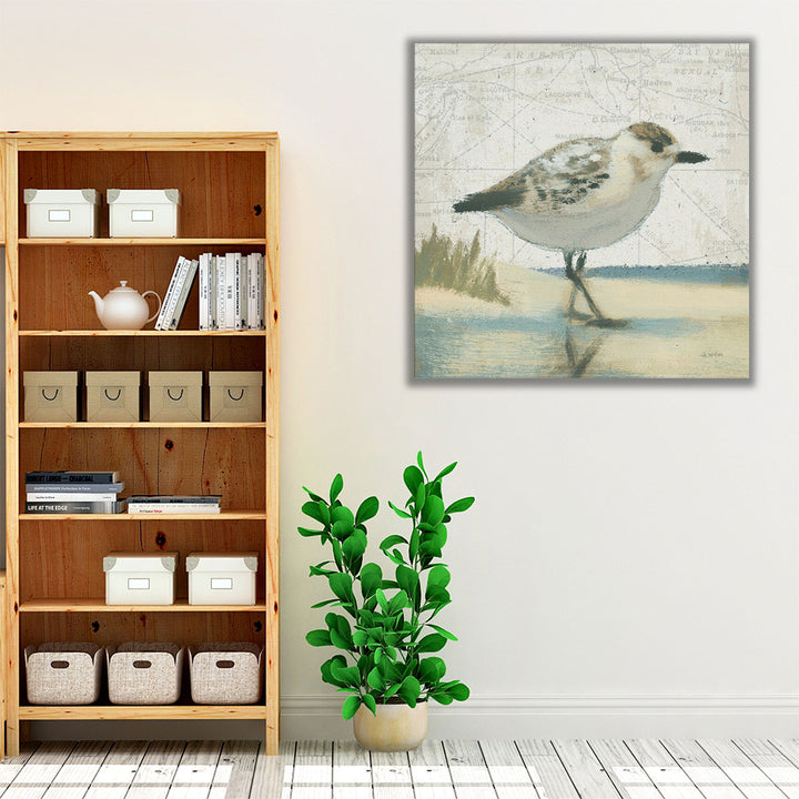 Beach Bird I- Canvas Print Wall Art