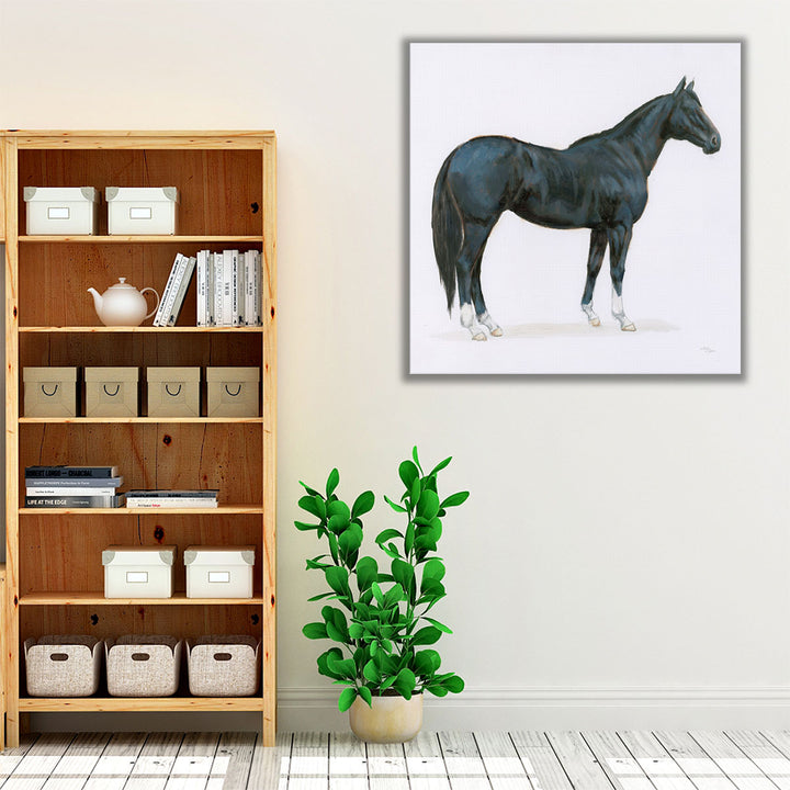 Black Horse - Canvas Print Wall Art