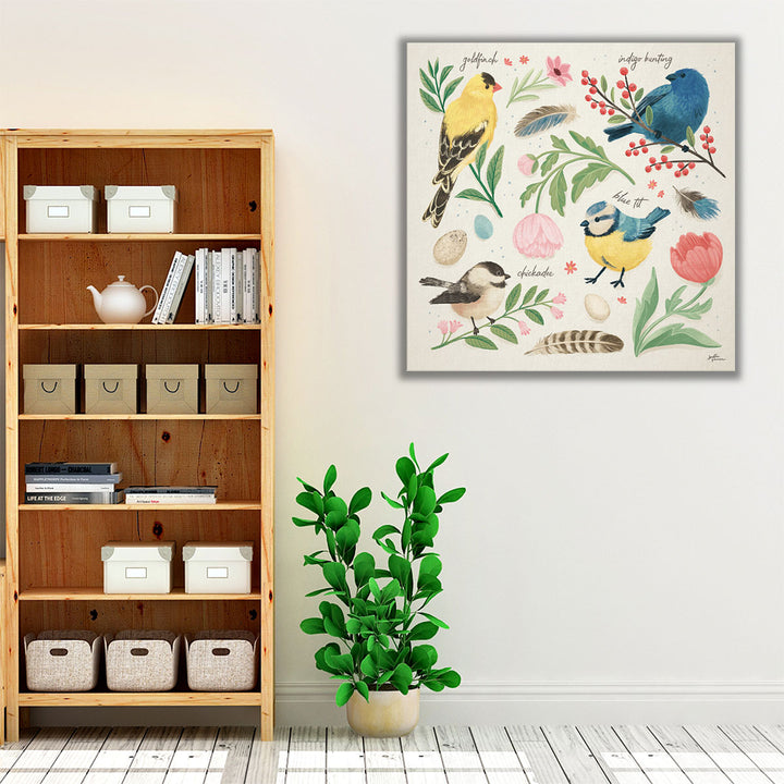 Bird Study II - Canvas Print Wall Art