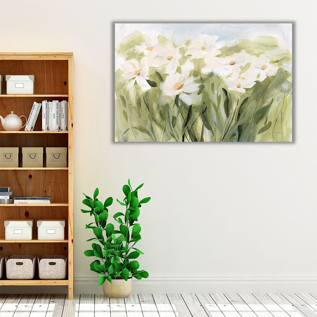 Daisy Meadow - Canvas Print Wall Art