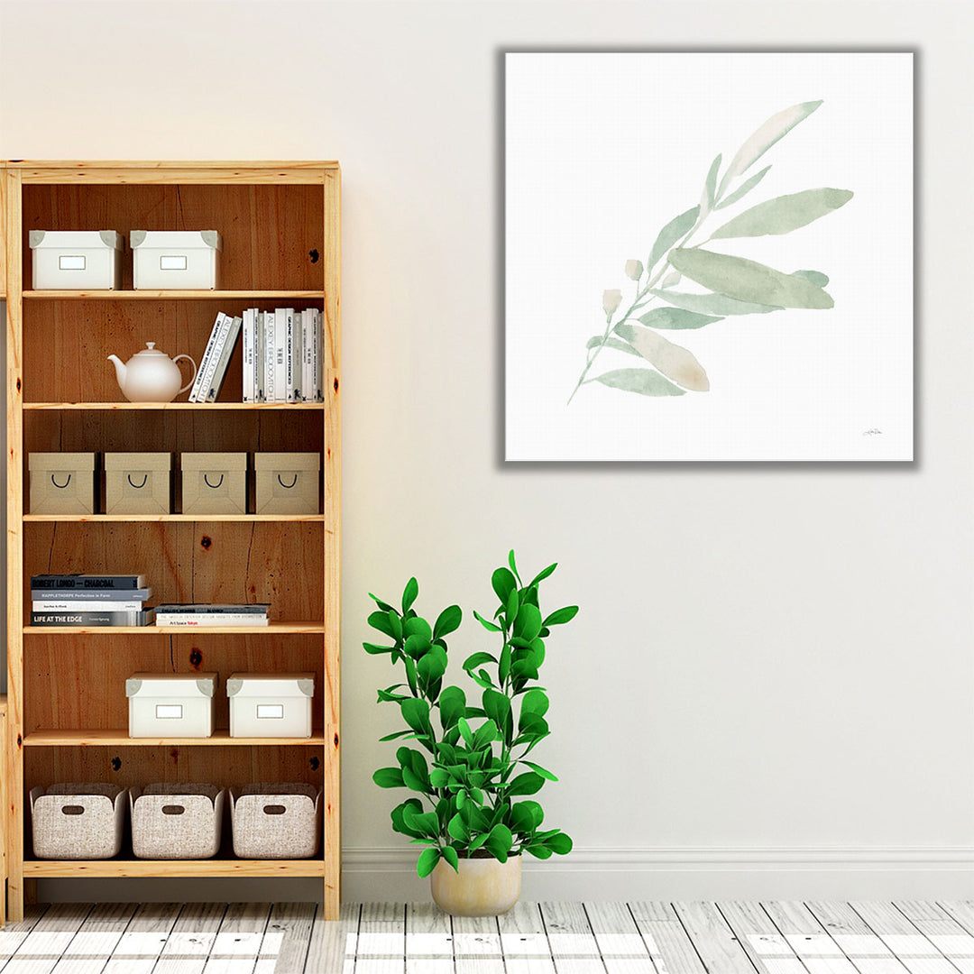 Sage I - Canvas Print Wall Art