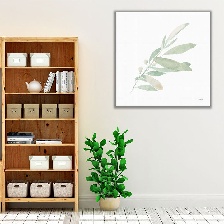 Sage I - Canvas Print Wall Art